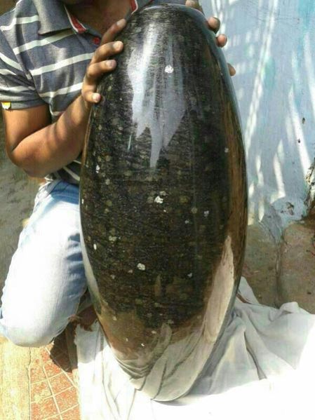 Colorful Shiva Lingam