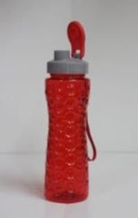 Plastic Flip Top Water Bottles (PA16049)