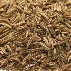 Cumin Seeds 01