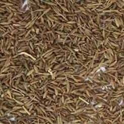 Cumin Seeds 03