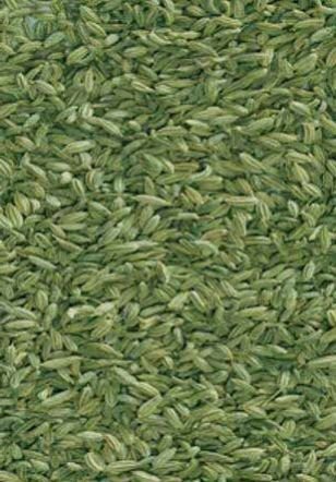 Fennel Seeds 01