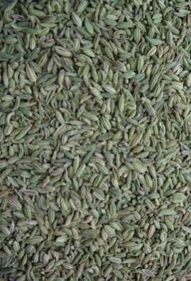 Fennel Seeds 02