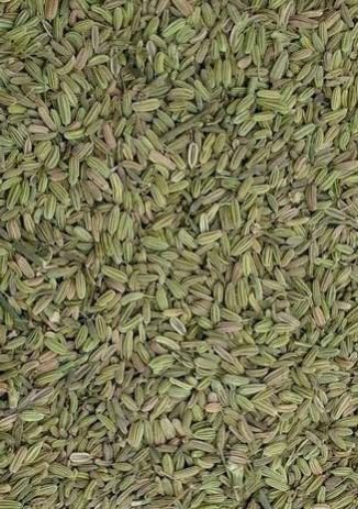 Fennel Seeds 03
