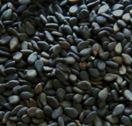Sesame Seeds 01