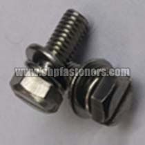 SS 304 Hex Slotted Screw