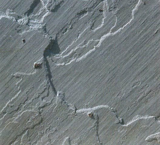 Lalitpur Grey Sand Stone