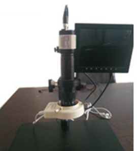 Video Microscope 02