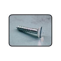 Stainless Steel Screw