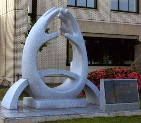 Roopsa Sculp (Roopsa TC002)