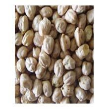 40-42 White Chickpeas