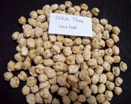 44-46 White Chickpeas