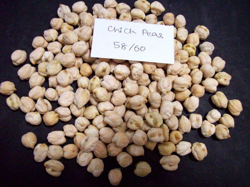 58-60 White Chickpeas