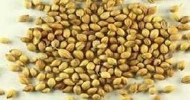 Eagle Coriander Seeds
