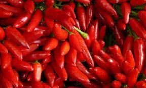 Longi Red Chilli