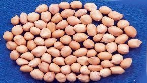 Peanuts