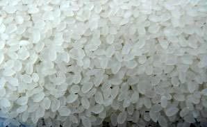 Round Rice Non Basmati Rice