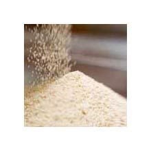Semolina Flour