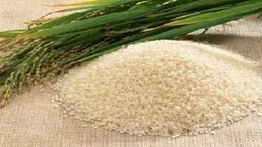 Shabnam Basmati Rice