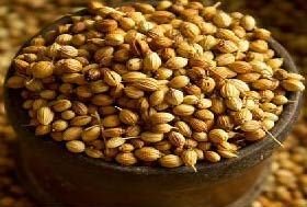 SXO Coriander Seeds