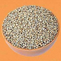 Foxtail Millet Seeds