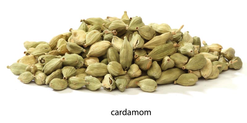 Cardamom