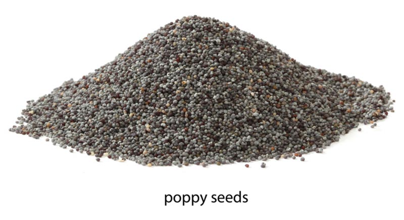 Poppy Seeds