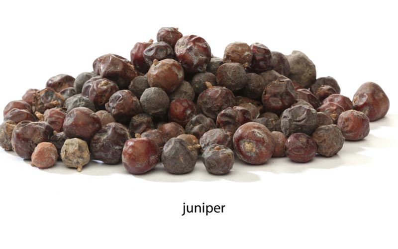 Juniper