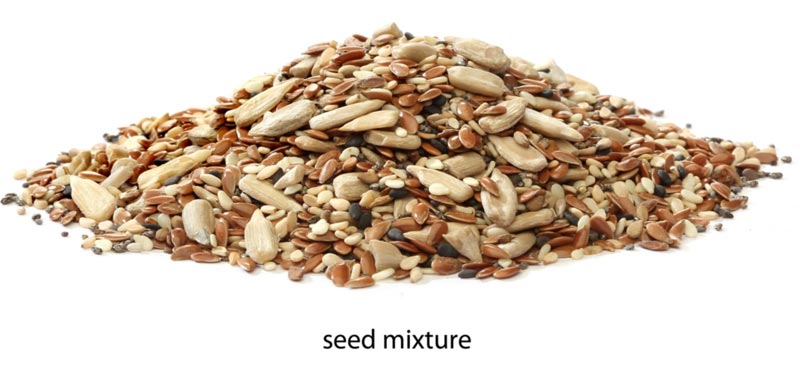 Seed Mixture