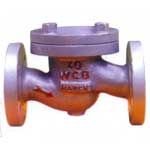DIN Non Return Valve