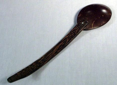 Coconut Spoon