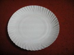 Disposable Paper Plate 02