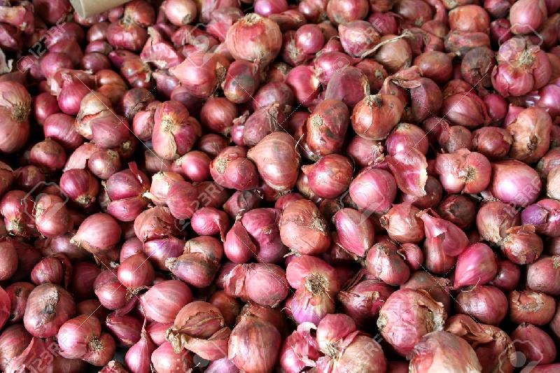 Small Red Onion 03