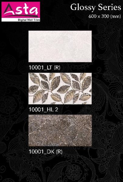 Glossy Series Wall Tiles (30x60) (10001-2)