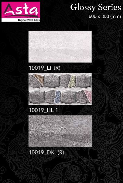 Glossy Series Wall Tiles (30x60) (10019)