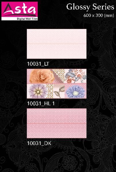 Glossy Series Wall Tiles (30x60) (10031)