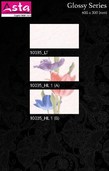 Glossy Series Wall Tiles (30x60) (10035)
