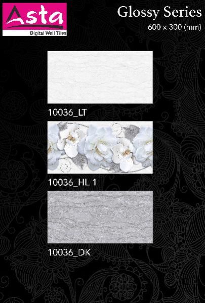 Glossy Series Wall Tiles (30x60) (10036-1)