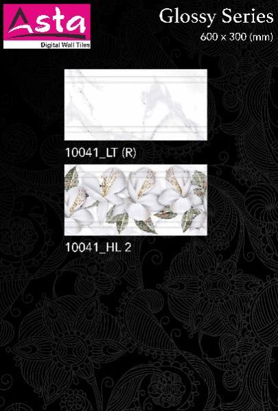 Glossy Series Wall Tiles (30x60) (10041-2)