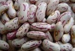 Light Speckled Kidney Beans