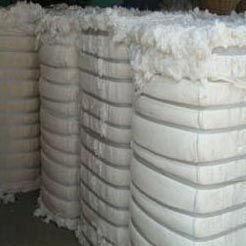 Raw Cotton Bales