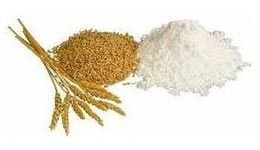 Wheat Flour