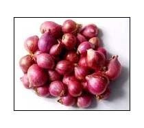 Small Red Onion