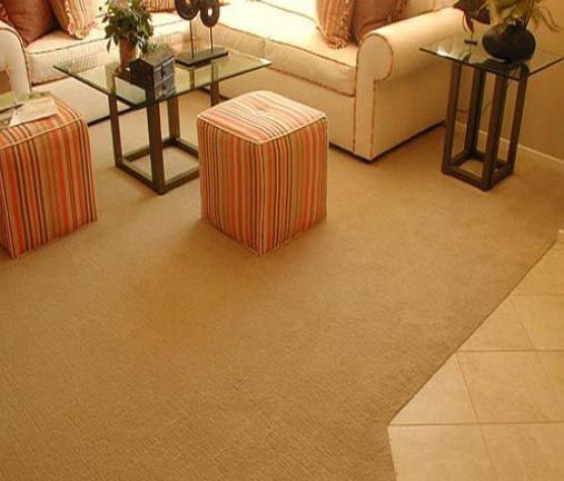 Floor Carpets