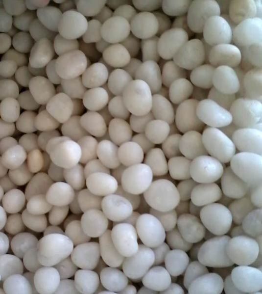 White Pebbles Stones