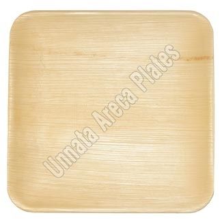 Square Areca Leaf Plate