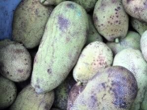 Jack Fruit