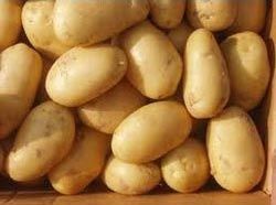 Fresh Potato