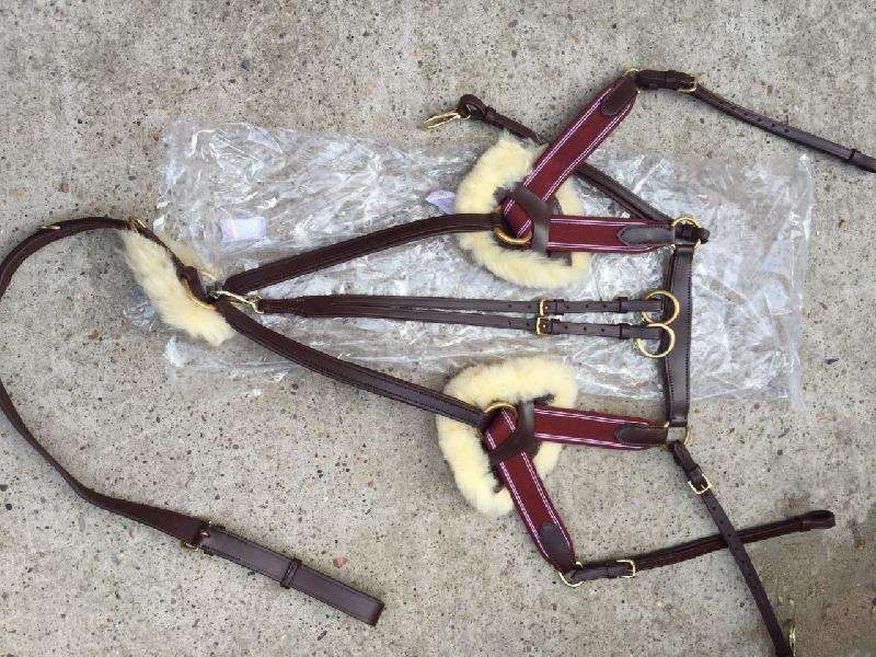 Horse Leather Harness Belt 01