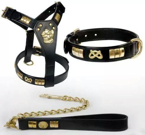 Horse Leather Harness Belt 05