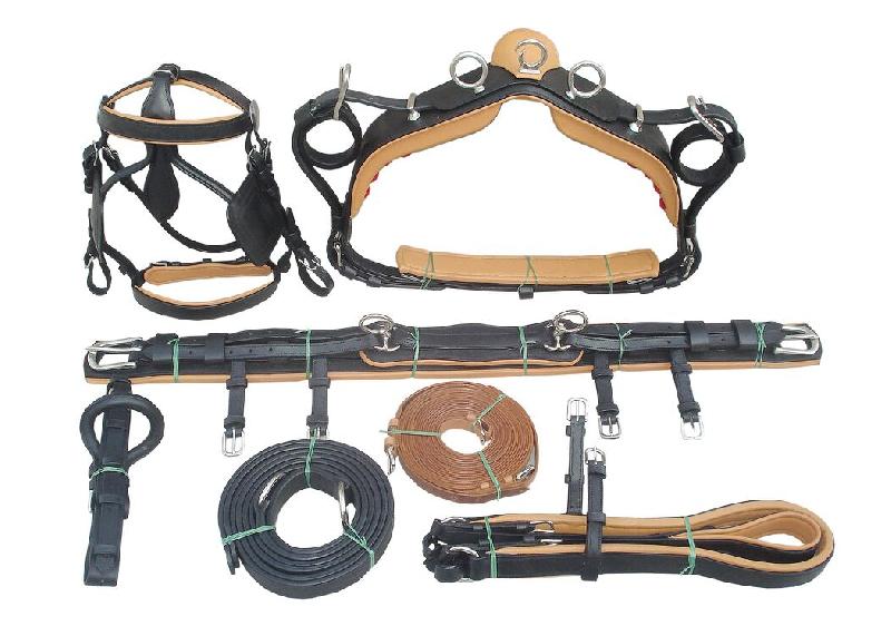 Horse Leather Harness Belt 06